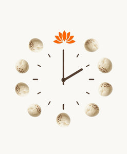 Snack Time: Why We Love the Ritual